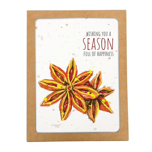 Plantable Boxed Set - STAR ANISE HOLIDAY